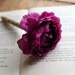 Rustic Guest Book Pen- Purple Ranunculus