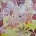Approaching Autumn, original encaustic, mixed media
