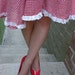 Vintage Red Gingham Dress. Eyelet Detail Day Dress. Picnic. Rockabilly. VLV. Country