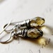 Crystal Earrings Silver Brown Earth Tones