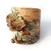 Large width birch bark cuff bracelet, Mushroom Colony I
