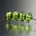SALE TODAY 4 Gem Quality 6mm Far Faceted Peridot Roundelles