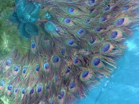 peacock feather christmas tree skirt and wall hanging by peacock feather christmas tree skirt and wall hanging by