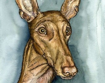 Pharaoh Hound Art Dog Print