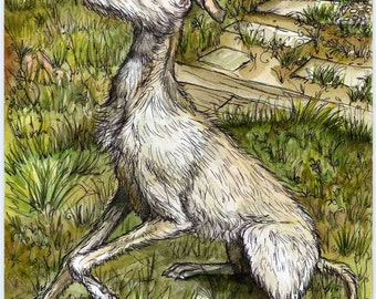 A Little Grace - Lurcher Hound Dog Print