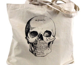 Canvas Tote Bag - Anatomical Skull Tote Bag