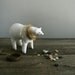 a not-quite-naked polar bear