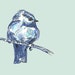 New Blue Bird