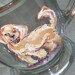 Golden retriever Hand painted coffee mug