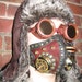 Steampunk or post Apocalyptic Leather and brass tube altitude \/ Gas Mask