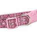 1" Pink Dog Collar Tag / Buckle CAMELOT