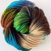 Hand Dyed Wool Yarn - Forest Path