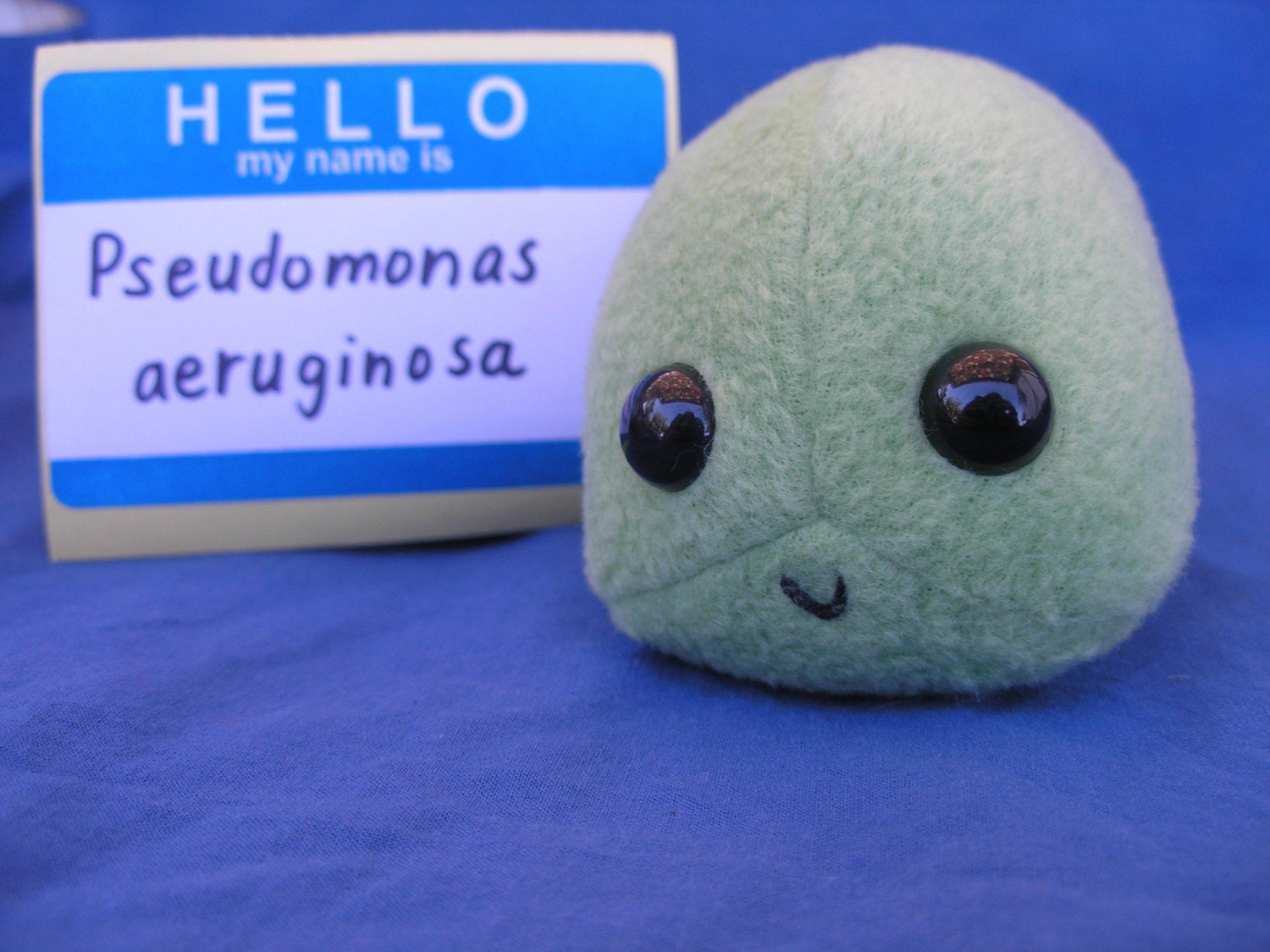 plush chlamydia