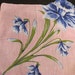 Huge Figural Iris On My Hanky, or Maybe Not