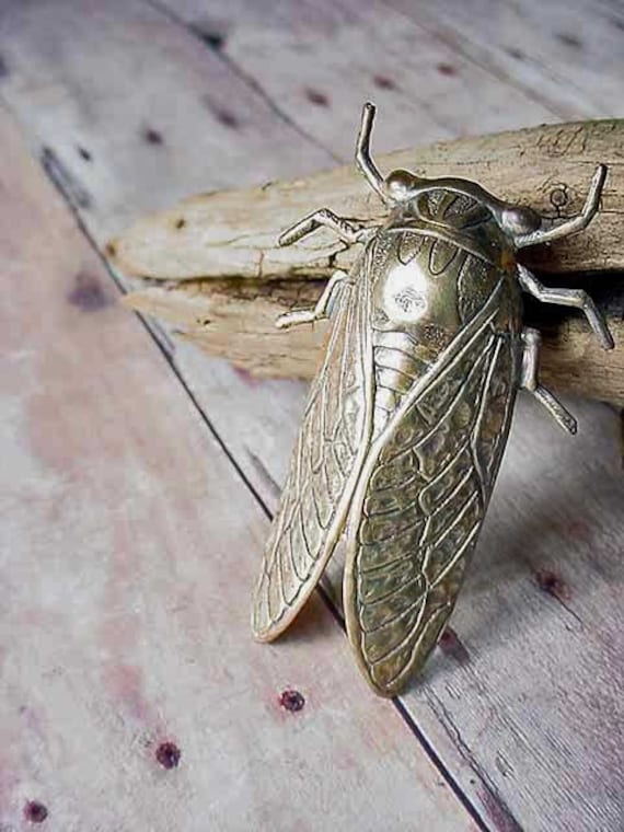 Unisex Gifts Under 20 cicada brooch gold brass unusual insect bug wings unisex Unisex Gifts Under 20 cicada brooch gold brass unusual insect bug wings unisex