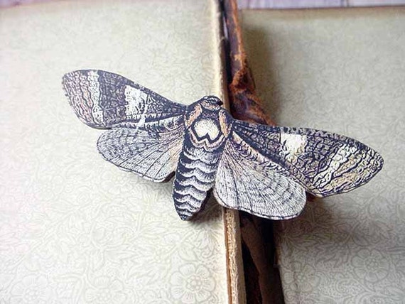 Moth Brooch Neutrals Brown and Beige Butterfly Pin Gift for Collector or Naturalist - Under 10