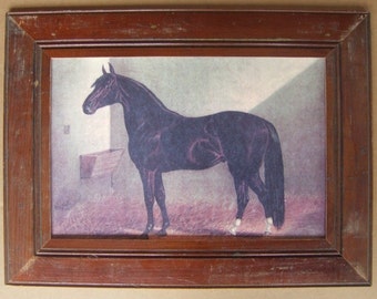 Farm Animal Horse Print Recycled Print Wood Frame HS3