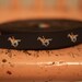Off to the Races Ribbon - 3 yards NOS Vintage Fabric Trim Horses Jockeys