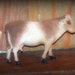 Reserved for Robin Sale Antique German Putz Flocked Stick Leg Cow