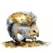 Original Watercolor sketch - Sitting Squirrel