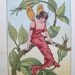 The Wish Fairy of the Sunshine and Shadow Forest - 1919 - Beautiful illustrations