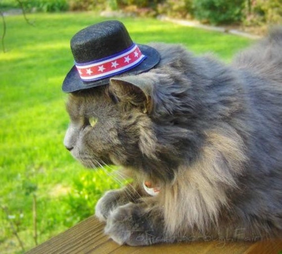 Items similar to Cat Hat - Stars and Stripes Patriotic Top Hat on Etsy