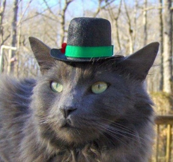 Items similar to Cat Top Hat - Festive Holly on Etsy