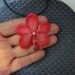 NEW style - Medium Ruby Vanda Orchid - Real Flower on black cord