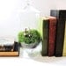 SALE The Forest Folk of Fernlily Wood Large Terrarium