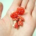 7 Toadstool Mushrooms For Your Terrarium