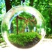 The Secret Garden Moss Terrarium Globe