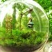 The Secret Garden Moss Terrarium Globe