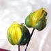 SALE - 2 Yellow Handmade lampwork Glass Rosebud Headpins on Sterling Silver