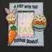 Easter Picture Frame A Visit with the Easter Bunny 5x7