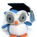 Graduation Owl: Custom Crochet Stuffed owl OOAK