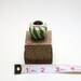 Folk Art Coil Basket - Miniature Handcrafted