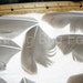 Feathers Cruelty Free Organic Buff Goose Wing Feathers Trimmed Light Grey Apricot-Fawn