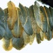 Cruelty Free Feathers 20 Rustic Wing Feather Assortment Organic Feather Supplies Free Range Birds Trimmed NO Kill