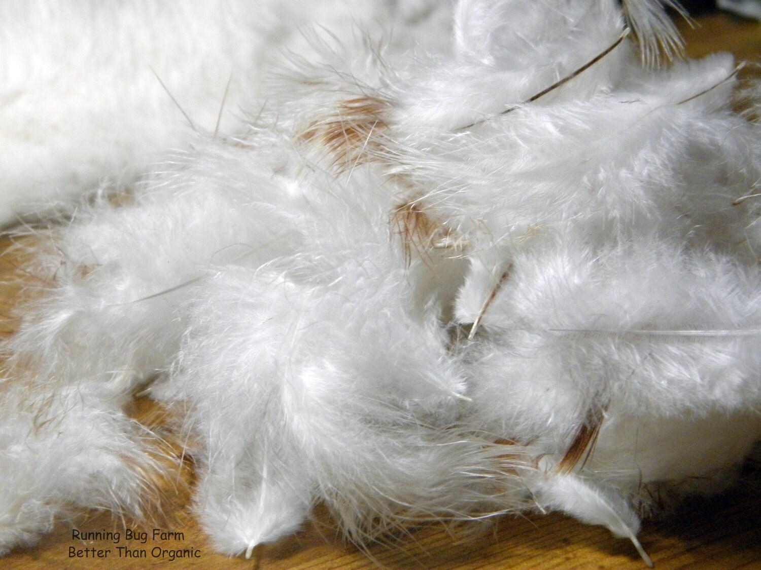 Cruelty Free Feathers Loose Organic Pillow Stuffing Fill