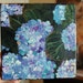 Hydranga Acrylic on Canvas original painting 8 X 8