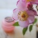 Rosa Solid Natural Perfume Sample 2012 edition - Inspired by the Wild Rose of California, this is a rich, earthy woody rose fragrance