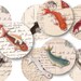 1.5 Circles - Goldfish on Ephemera - Digital Collage Sheet 1092 - Direct Download