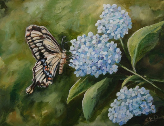 Original Oil Painting Butterfly Hydrangea Sarah by ArtbySarahDavis