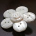 bloomingbuttons