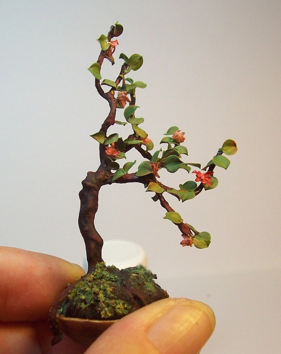 miniature azalea bonsai