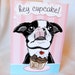 Boston Cupcake Greeting Card