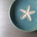 starfish bowl
