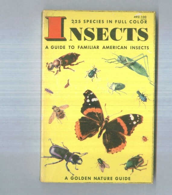 Insects Bugs Guide Familiar American Species Nature Golden