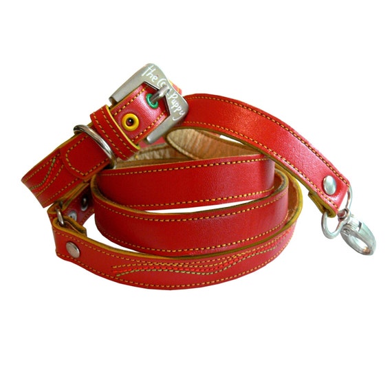 Cool Leather Dog Collar and Leash Set Red and Neon Colors