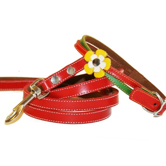 Rasta Swirls Leather Dog Collar and Leash Set